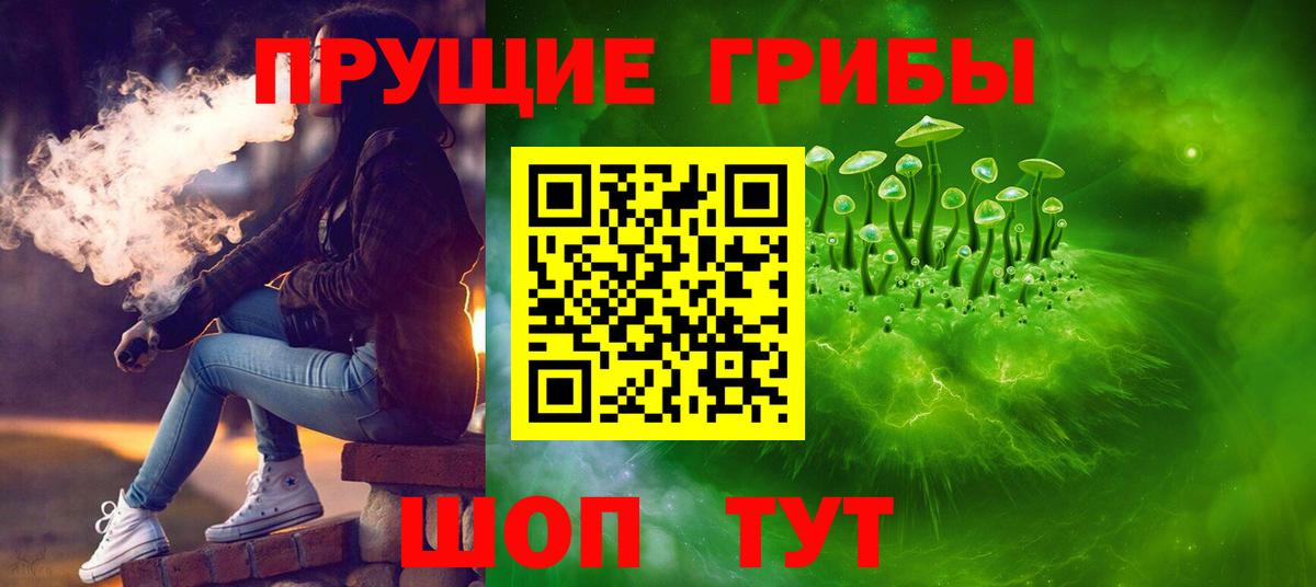 Псилоцибиновые грибы прущие грибы  Вход с VPN  Боровичи  Псилоцибиновые грибы мухоморы 